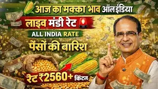 🌽 आज का मक्का भाव ऑल इंडिया | लाइव मंडी रेट 🚨 Makka mandi bhav #mandibhav #agriculture