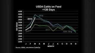 The Angus Report, April 16, 2018: CattleFax Market Update