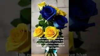 The blue roses - interesting facts