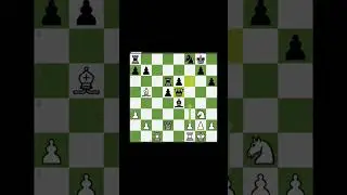 decoy/deflection.