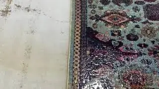 Chicago&rsquo;s Best Carpet Cleaning | Carpet Cleaning Group