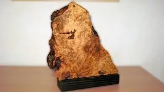 wooden sculpture - apple root wood