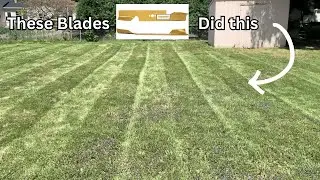 We bought Ballard blades for our SCAG 30 - Lawn Maintenance Week 4