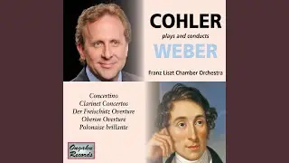 Clarinet Concerto No. 1 in F Minor, Op. 73, J. 114: I. Allegro