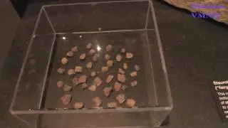 Fairy stones at VMNH