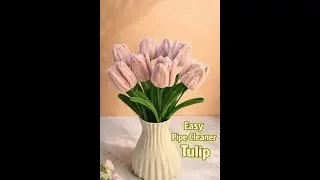 Beautiful Pipe Cleaner Tulip Craft