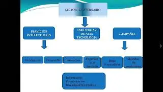 Qu&eacute; es el sector cuaternario