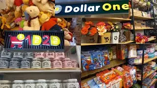 visit to one dollar shop | one dollar shop at misaq ul maal | zainab bukhari