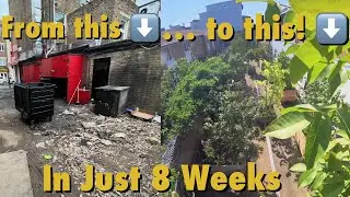 Derelict Hackney Street Transforms Into Community Garden