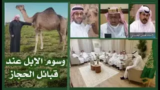 اللقاء الثالث : وسوم الإبل عند قبائل الحجاز