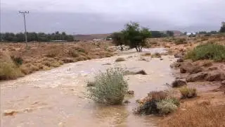 امطار شقراء الثلاثاء