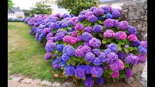 Brittany, France - Boutique Travel Experts