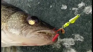 Clear Lake Ice Fishing