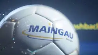 MAINGAU-7-Meter-Cashback - Rhein-Neckar L&ouml;wen