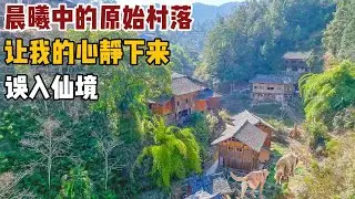 沉浸式体验晨曦中的苗寨，难得一见的古老村落，误入仙境的错觉【小白的奇幻旅行】