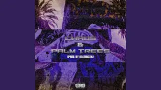 Chaos & Palm Trees