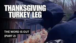 Turkey Leg Part 2: The Word is Out (Full Video)