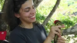 Sir Charles Blois Explorer 2018 - Glaucia Del Rio Application Video
