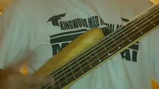 gROOVE ip