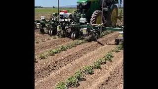 inRow & Inter-Row Weeder ROBOCROP || By Garford Farm Machinery UK || #shorts