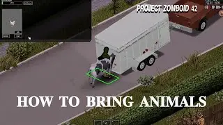 Project zomboid build 42 how to bring animal