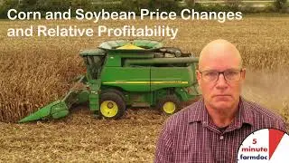 Corn and Soybean Price Changes and Relative Profitability