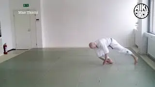 6kyu Mae Ukemi
