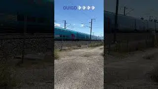 OUIGO💨💨💨💨💨 #ouigo #lgv #trainspotting #sncf #train #tgv