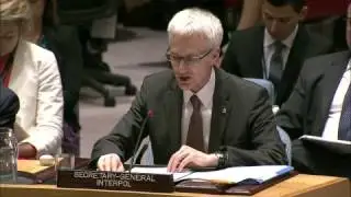 J&uuml;rgen Stock, INTERPOL Secretary General Addressing the United Nations Security Council