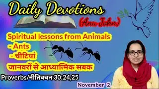 Daily Devotion (November 2) Proverbs 30:25 Lesson from the life of ants 🐜🐜
