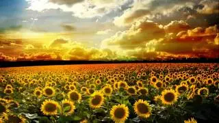 DJ Space Raven - Oxentus (Original Mix)