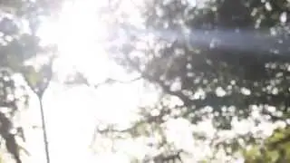 avenue -  (mv cover)  by KnowAre