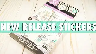 NEW RELEASE CLASSIC WELLNESS STICKER BOOK FLIP THROUGH | HAPPY PLANNER STICKERS