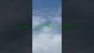 Love at First Flight! Skymaster L39 Maiden Flight #fastjet #albatross #remotecontrol #jet #turbine