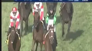 2015 Arlington Million - The Pizza Man