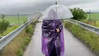 REGENPAAR-PURPLE CAPE 