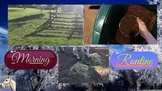 My Equestrian Summer Morning Routine ☀️🐴