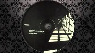 Petter B - Transporter (Original Mix) [PLANET RHYTHM]