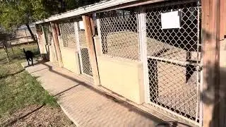 Tour of Howard, Mears, and Johannis Compound