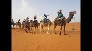 Best Camel Trekking in Morocco - Sahara Desert Excursion with Your Morocco Holidays