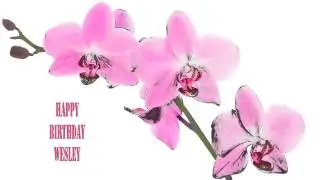 Wesley   Flowers & Flores - Happy Birthday