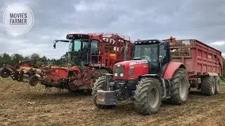 Arrachage de betteraves 2018 par l’ETA Corbes |Holmer T2| Cabview
