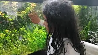 #fishaquarium #kidswatching #kidsontur #kidsenjoying