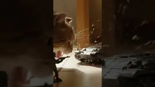 ToyWar side story: Gray Army Faces a Real Cat! #toywar #military #cinematic #cat