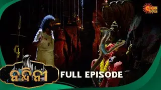 Nandini - Episode 168 | Full Episode | Odia Naagin show | Sun Odia