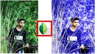 How to creat blue ton effect on snapseed......