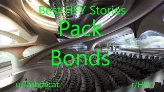 Best HFY Reddit Stories: Pack Bonds