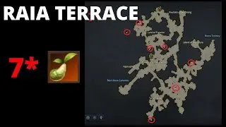 Lost Ark | Raia Terrace - Mococo Seeds Location