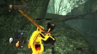 Dark Souls 2 SOTFS Co Op