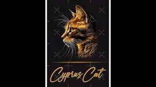 Top 10 Furry Facts  About Cyprus Cats